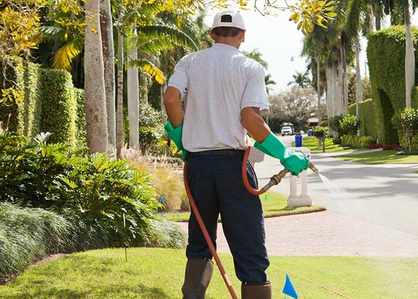 About Milan KS Pest Control